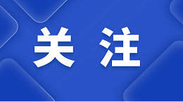 两家投标人的监事为同一人，可以参与同一个政府采购项目吗？